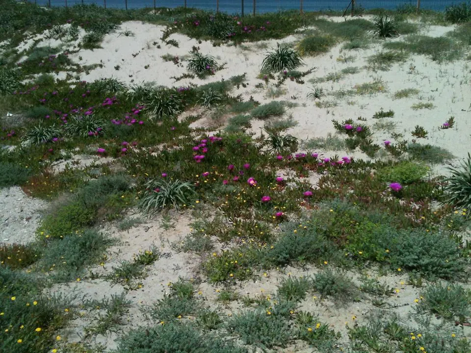 Campsite Camping Golfo Dell'Asinara Platamona